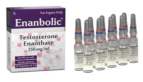 Enanbolic (Enantato 250mg/10ml)